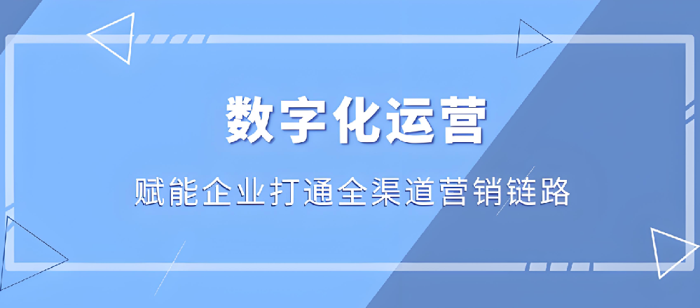 武榮網(wǎng)絡(luò)：塑造企業(yè)數(shù)字形象，提升網(wǎng)絡(luò)營(yíng)銷效益