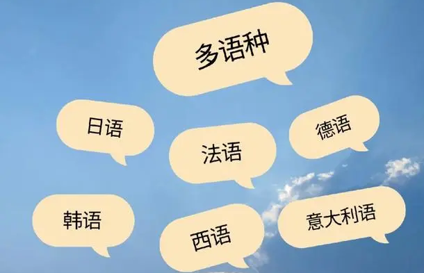 多語(yǔ)種企業(yè)網(wǎng)站建設(shè)困境剖析：從語(yǔ)言適配到用戶體驗(yàn)的挑戰(zhàn)
