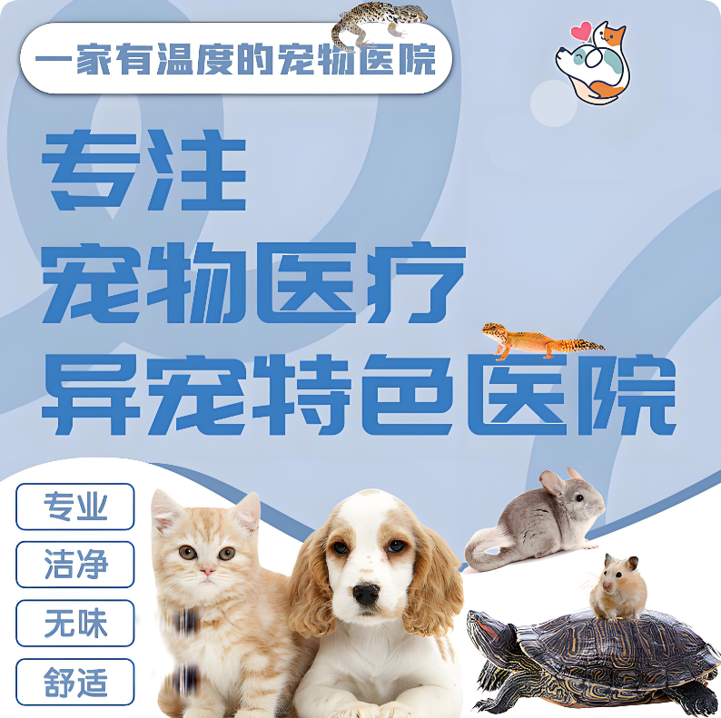 巧用美團(tuán)/大眾點(diǎn)評(píng)“問(wèn)大家”，讓寵主放心選擇你的醫(yī)院