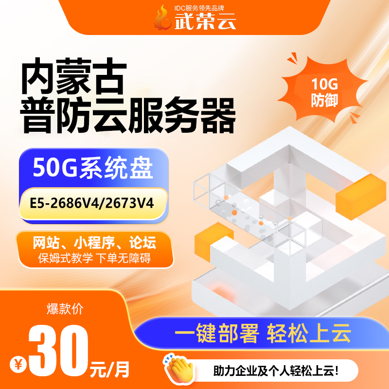 給企業(yè)省成本！4核4G云服務(wù)器，雙50GSSD快存，10M對稱帶寬，10G防御，30元/月性價比高