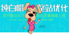 純白帽整站優(yōu)化，提升整站實(shí)力，價(jià)格親民效果好